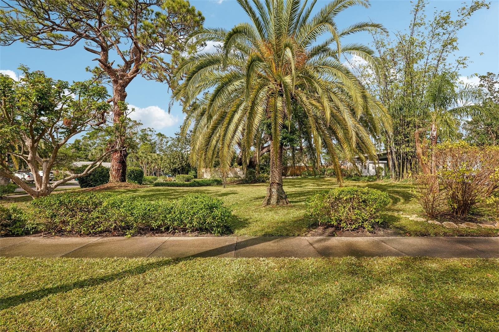 Image 43 of 47 For 349 Scott Avenue