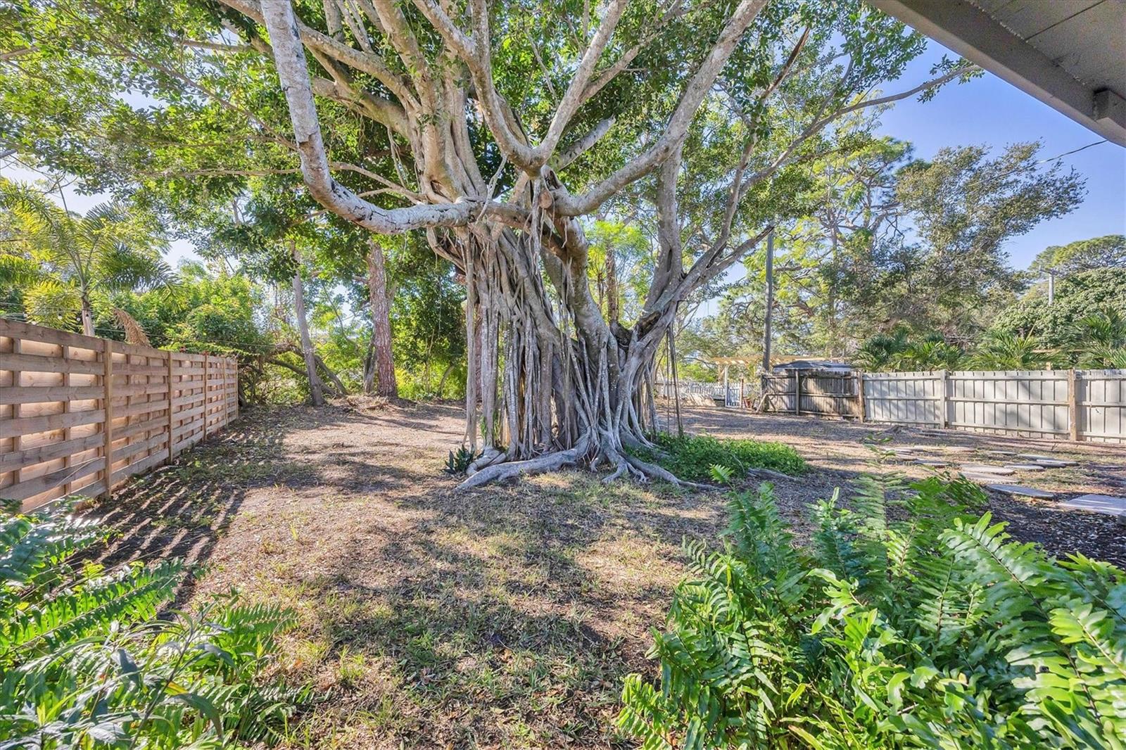 Image 41 of 51 For 2410 Browning Street