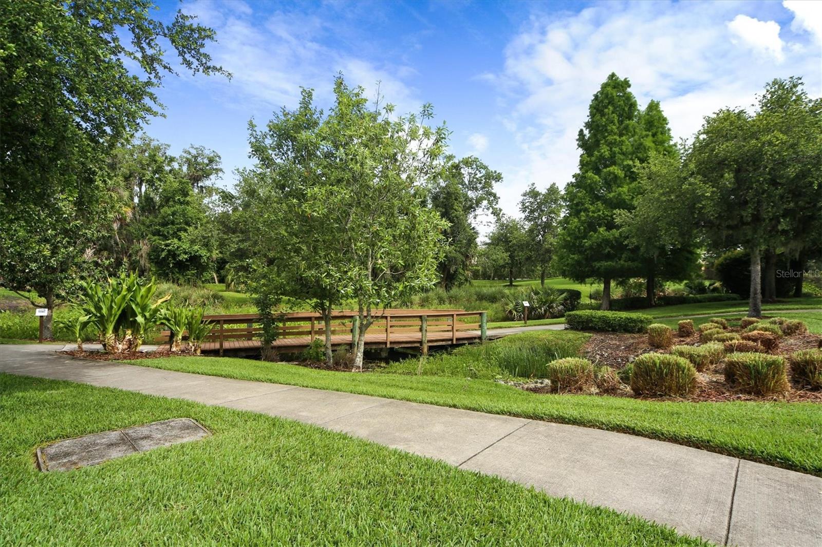 Image 57 of 64 For 11742 Hidden Forest Loop