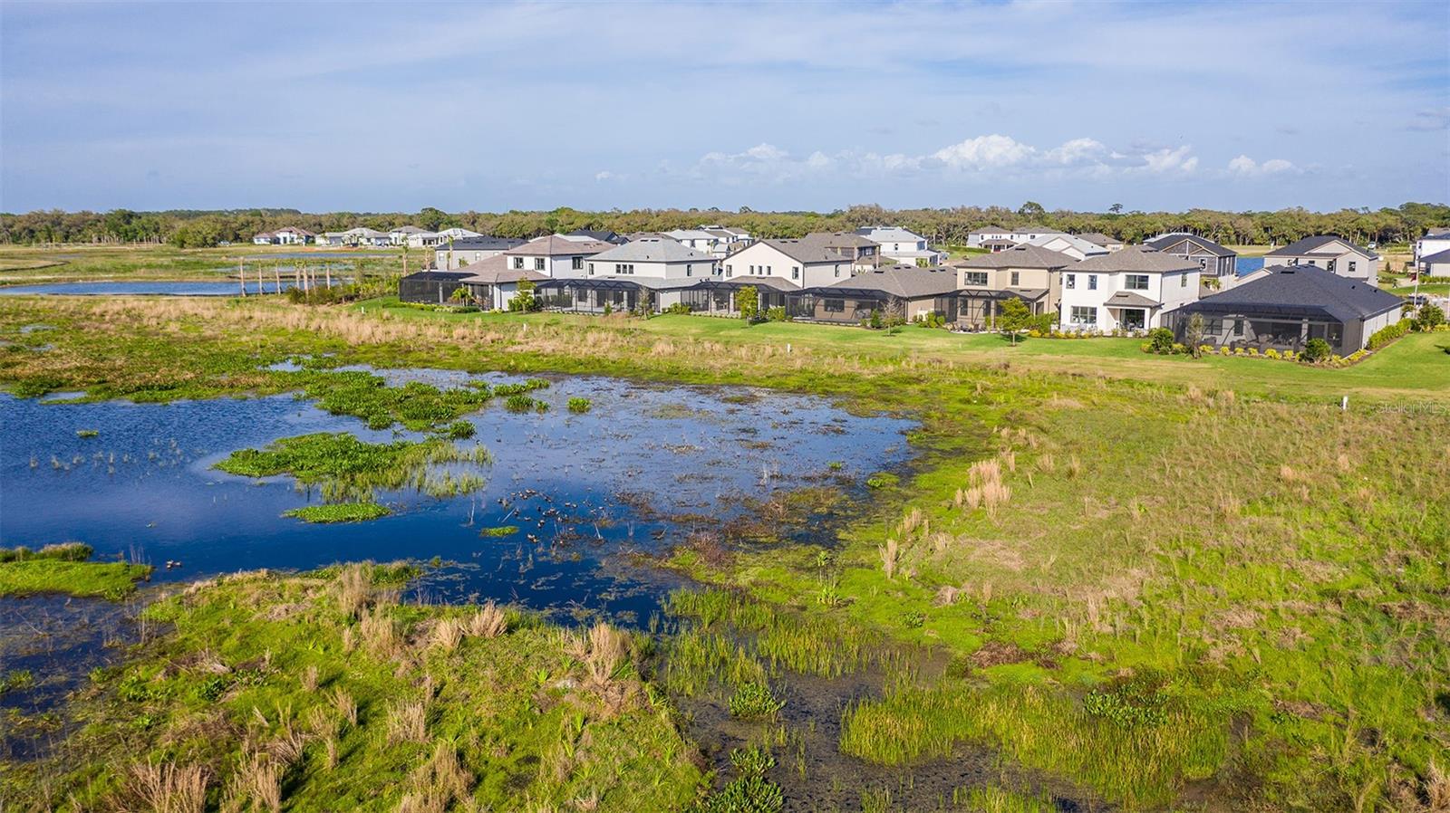 Image 31 of 32 For 8509 Golden Dawn Court