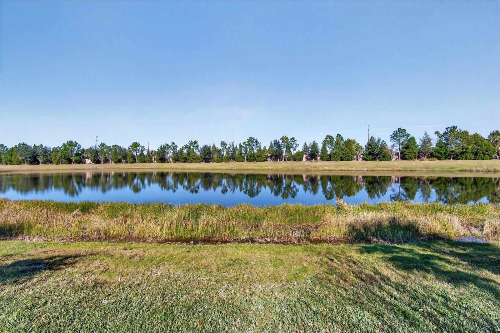 Image 48 of 95 For 6745 Chester Trail