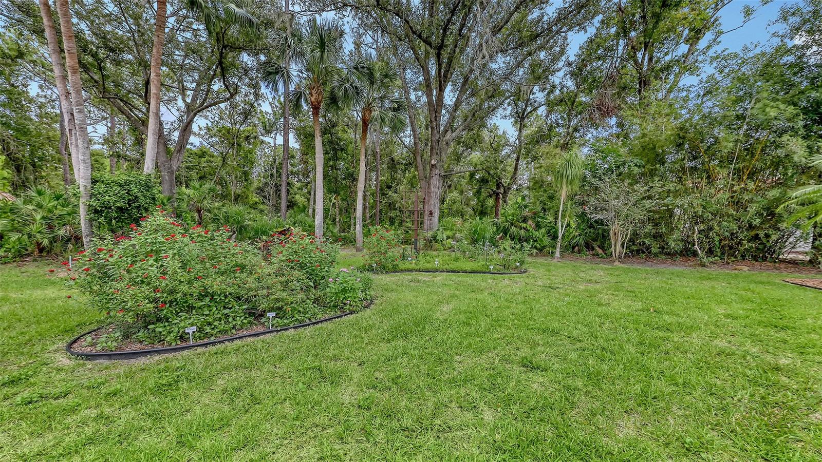 Image 64 of 76 For 7604 Weeping Willow Circle