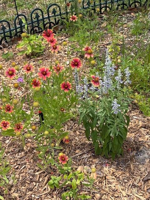 Image 68 of 76 For 7604 Weeping Willow Circle