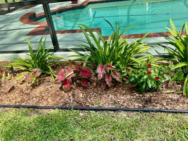 Image 72 of 76 For 7604 Weeping Willow Circle