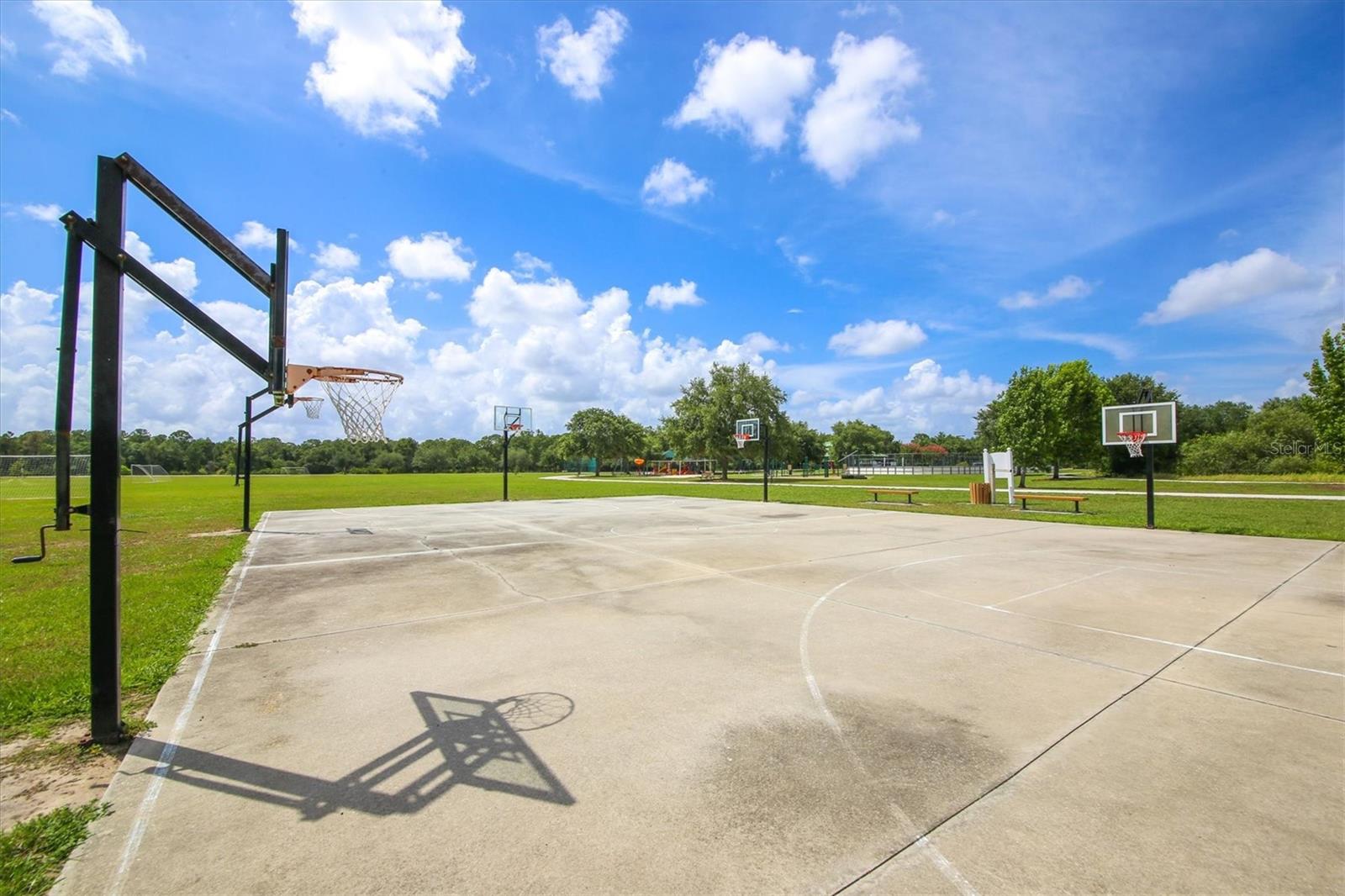 Image 39 of 46 For 13920 Wood Duck Circle