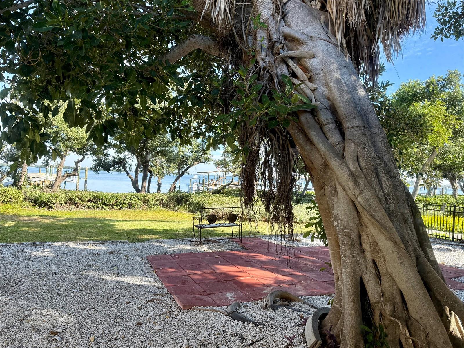 Listing photo id 17 for 2316 Canasta Drive