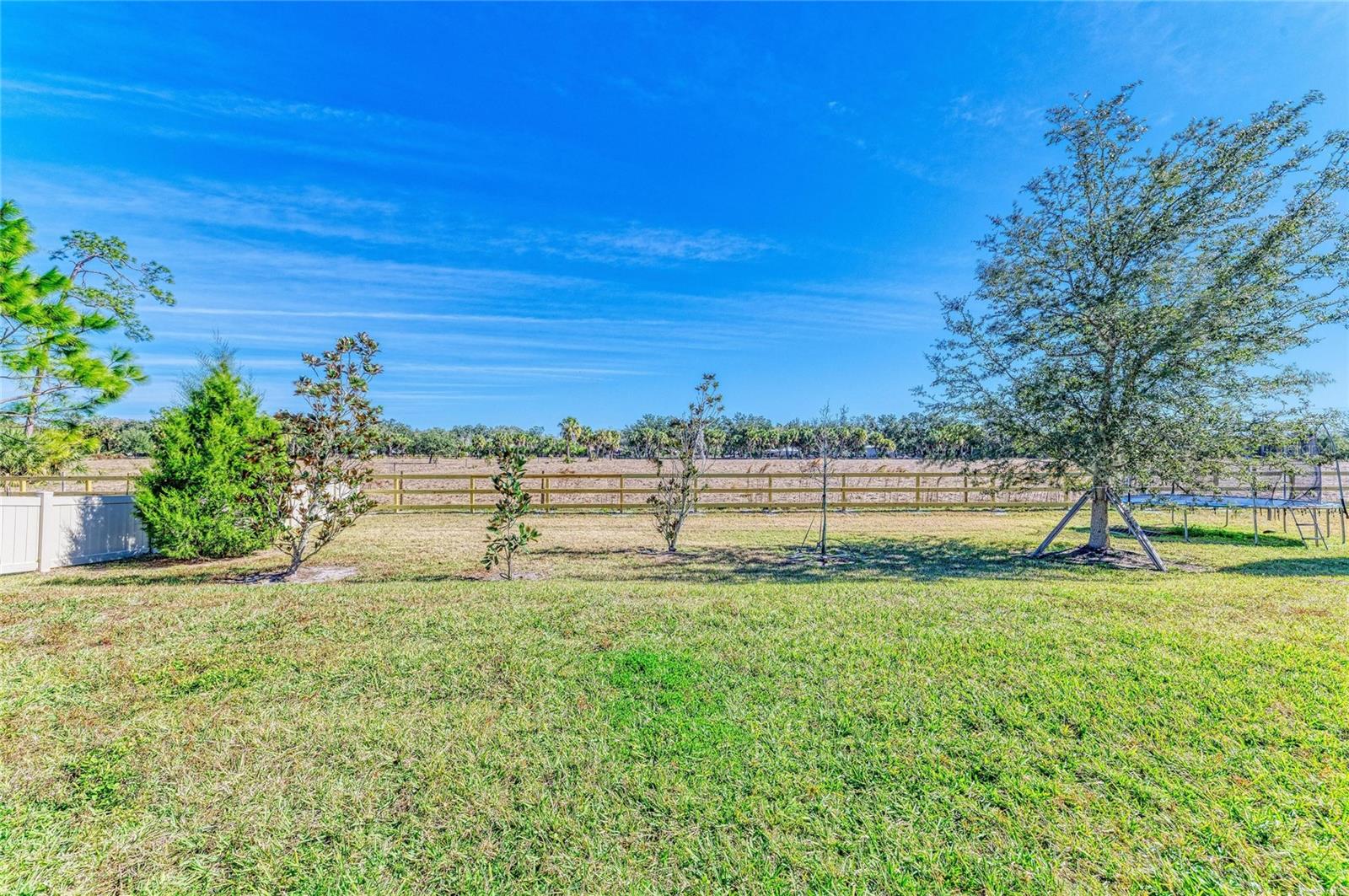 Image 55 of 57 For 923 Whimbrel Run