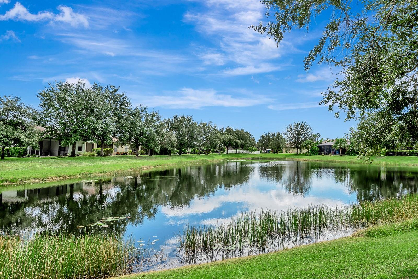 Image 25 of 31 For 5007 Boston Common Glen