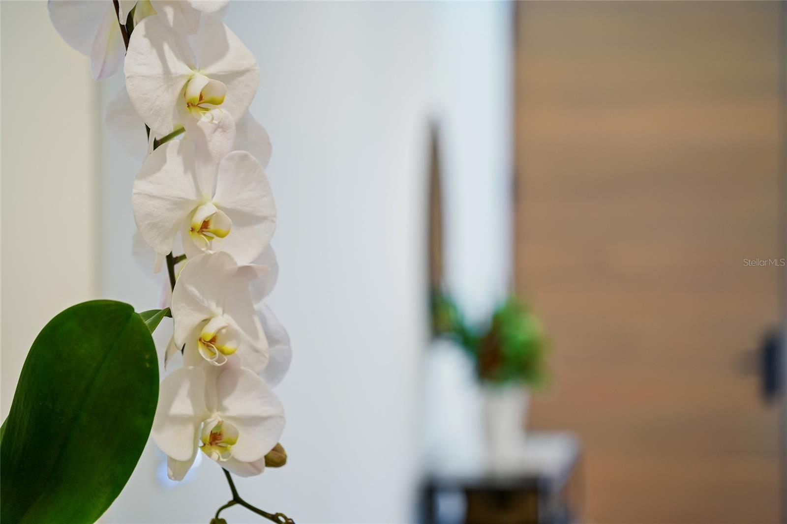 Image 59 of 86 For 948 Citrus Avenue