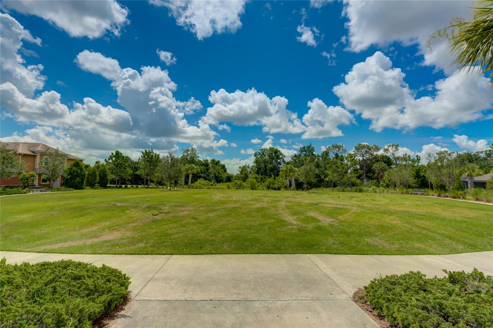 Image 61 of 72 For 12204 Trailhead Drive