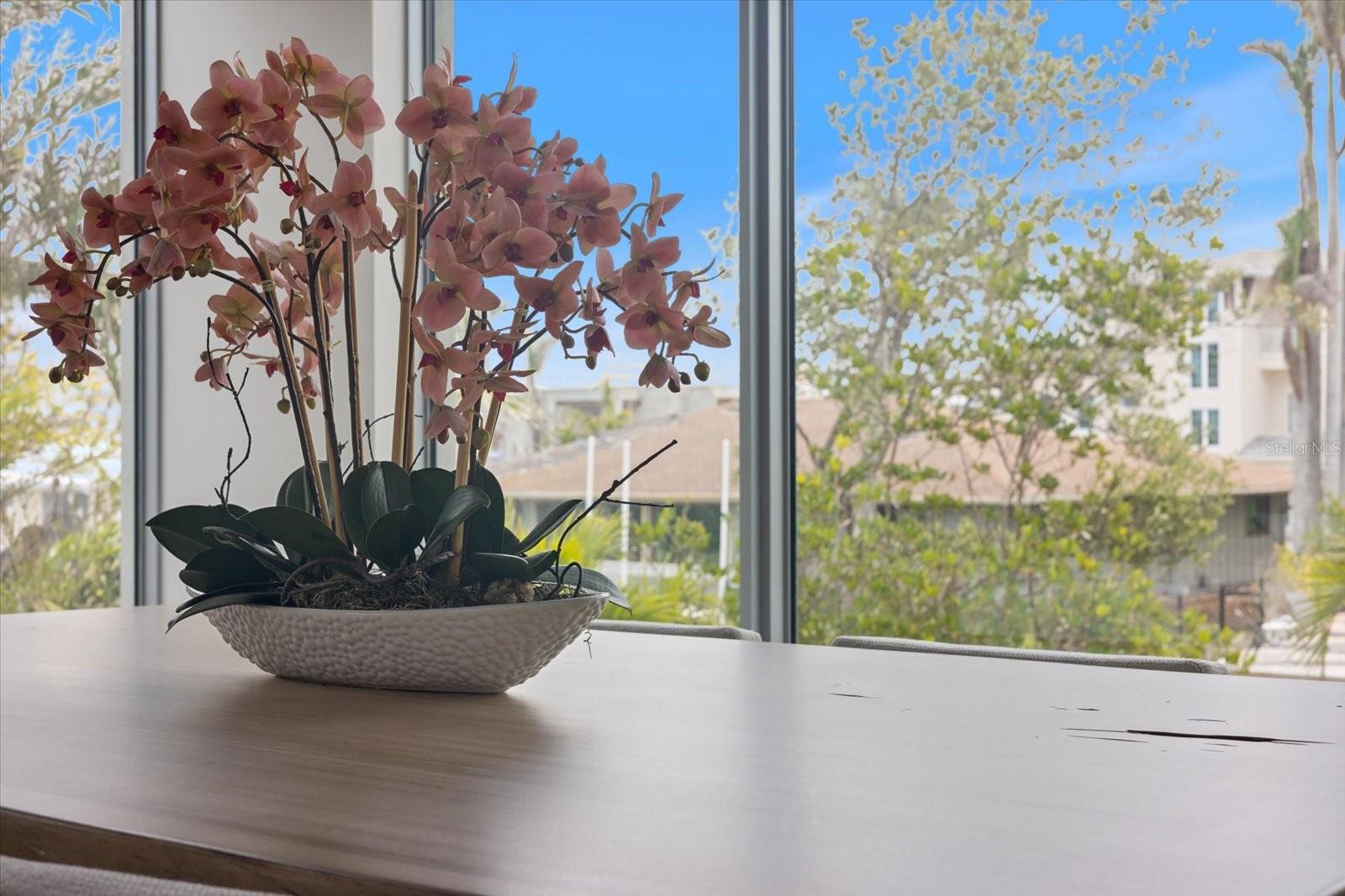 Image 14 of 66 For 600 De Narvaez Drive