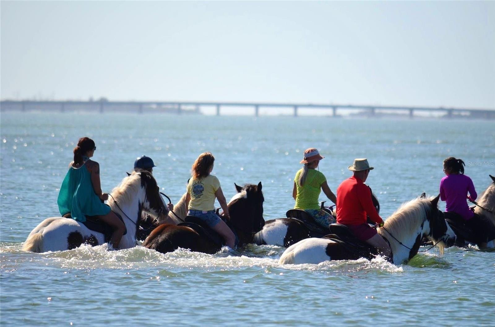 Image 70 of 77 For 3608 54th Drive W 202