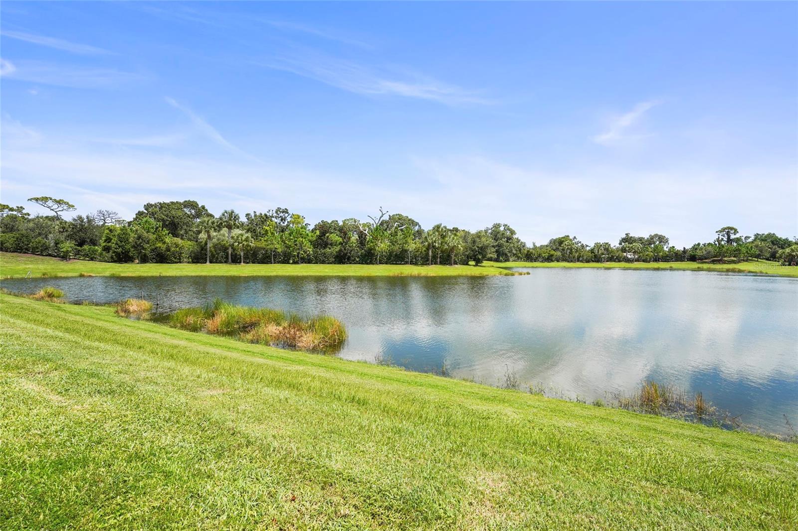 Image 85 of 90 For 6173 Lungo Lago Drive