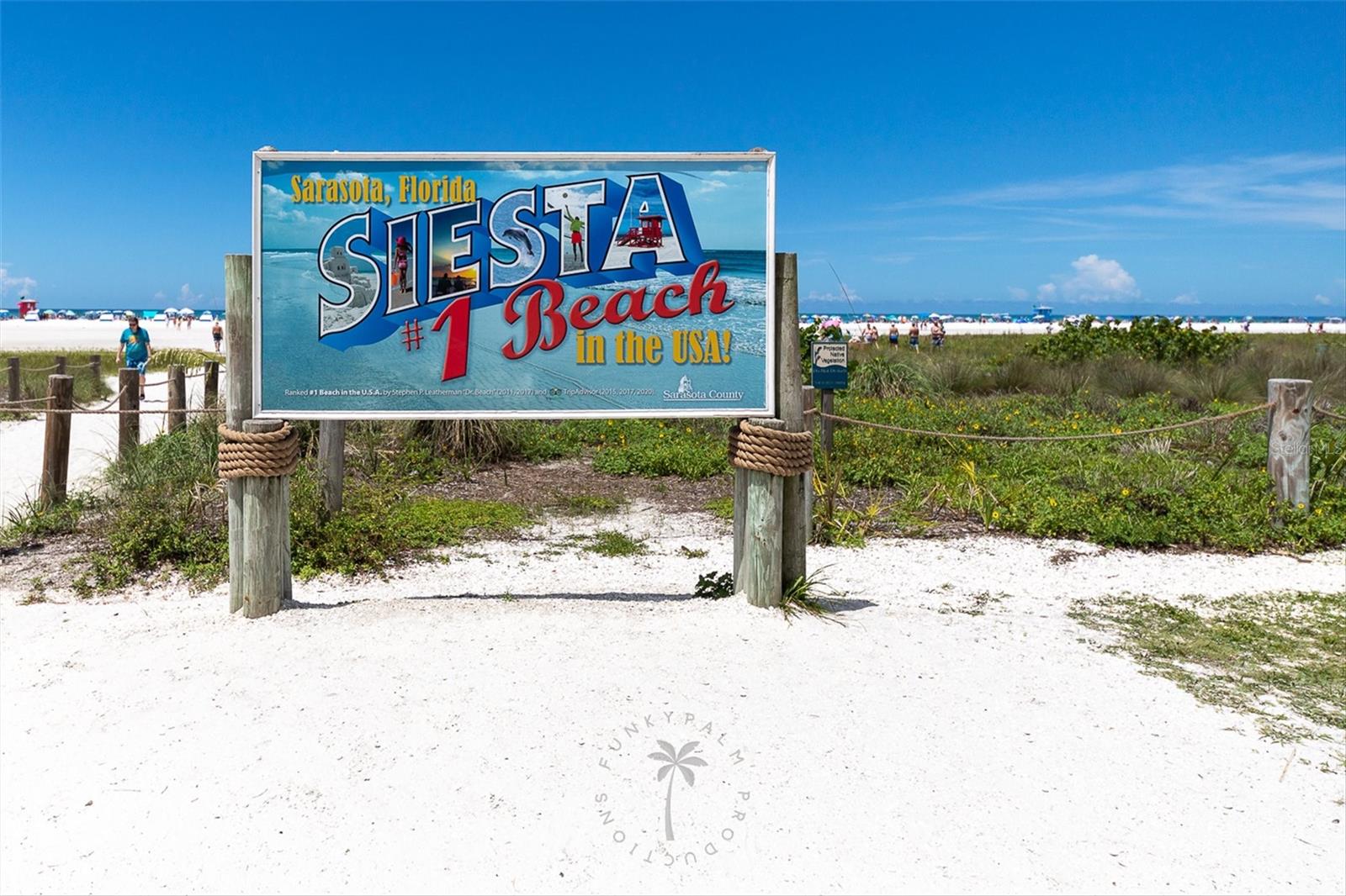 Image 47 of 50 For 8468 Woodbriar Drive