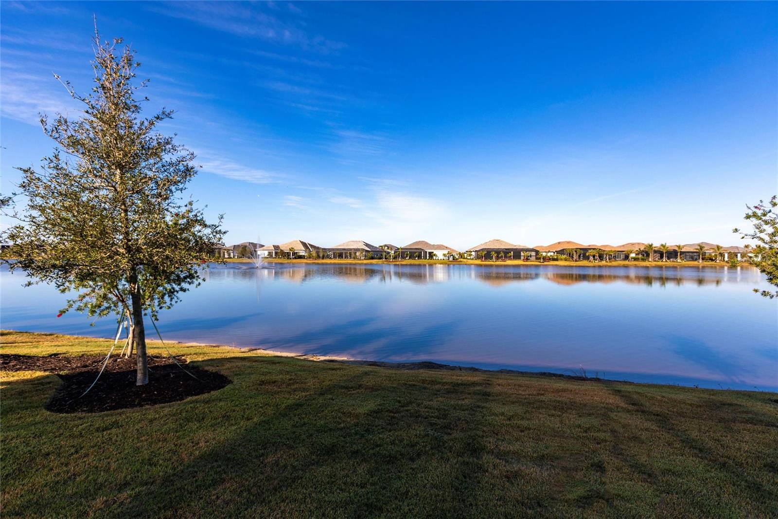 Image 73 of 82 For 8497 Pavia Way