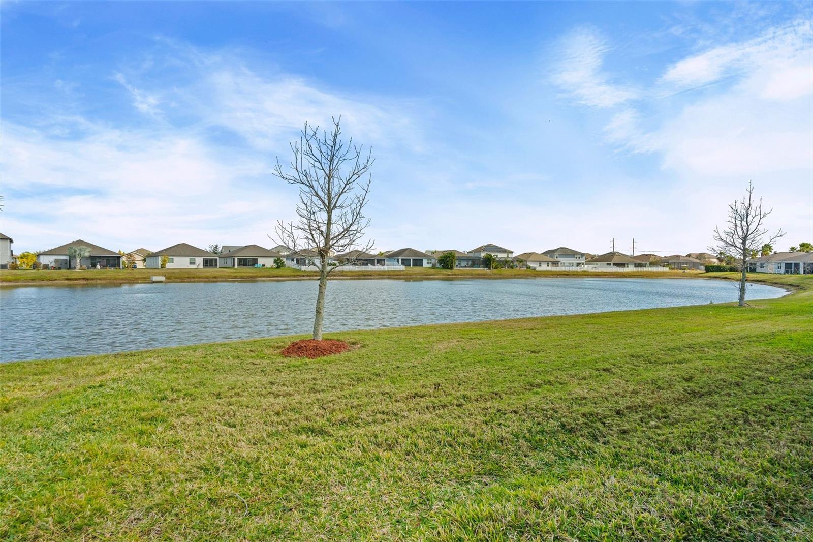 Image 25 of 43 For 4016 Mossy Limb Court