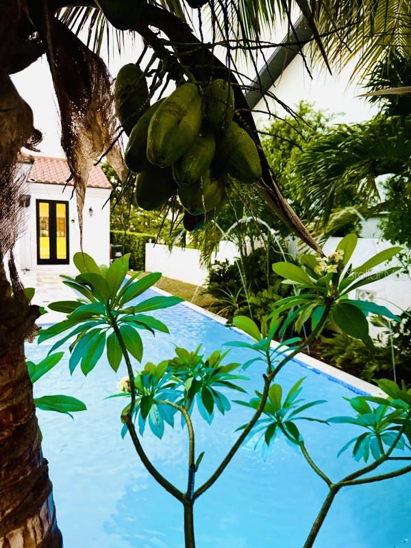 Image 20 of 27 For 1234 Ivanhoe Boulevard