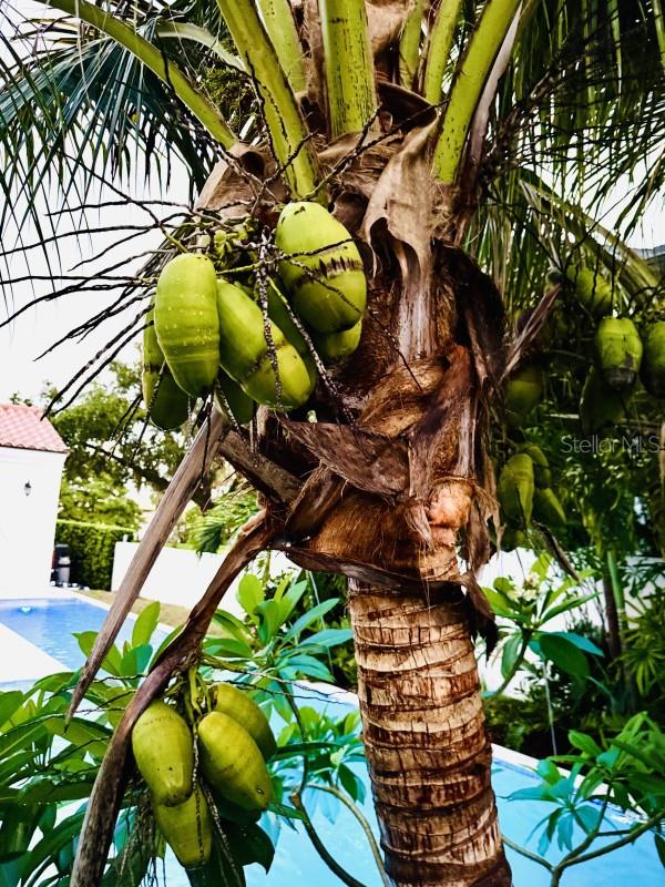 Image 23 of 27 For 1234 Ivanhoe Boulevard