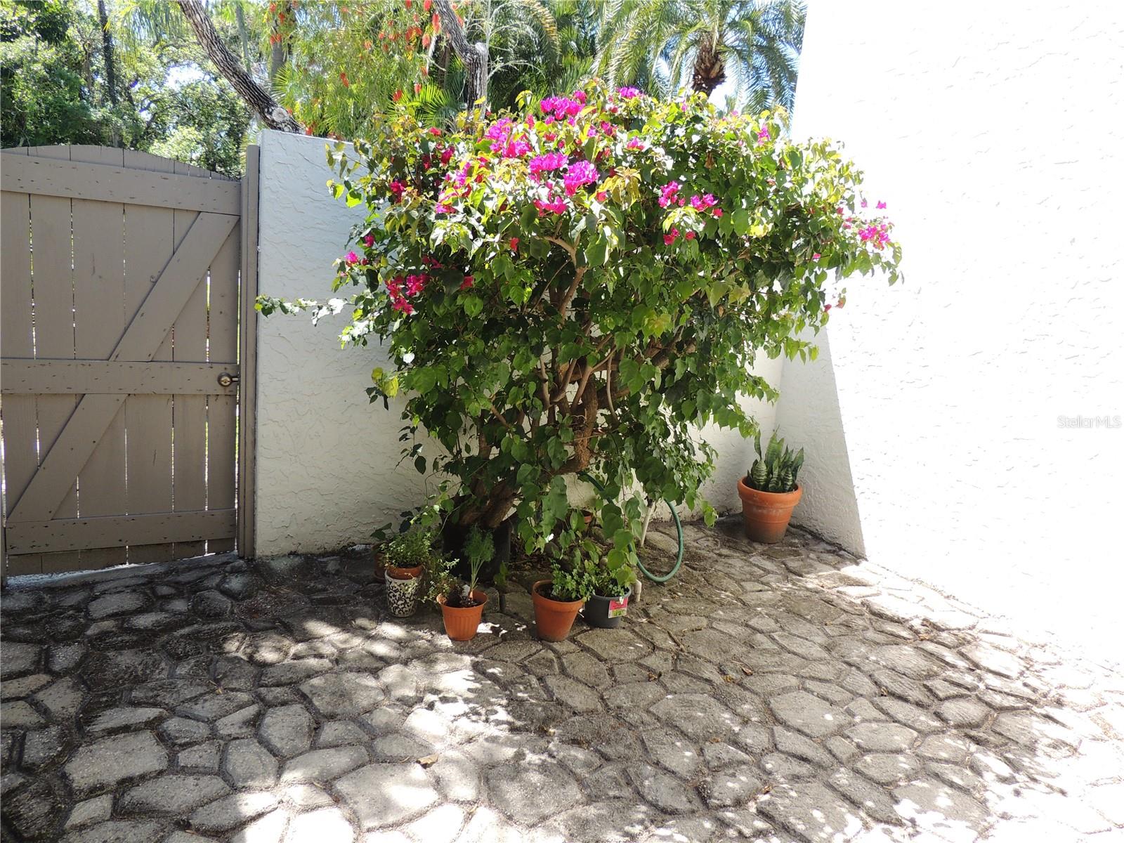 Image 20 of 31 For 324 Timberlake Drive 324