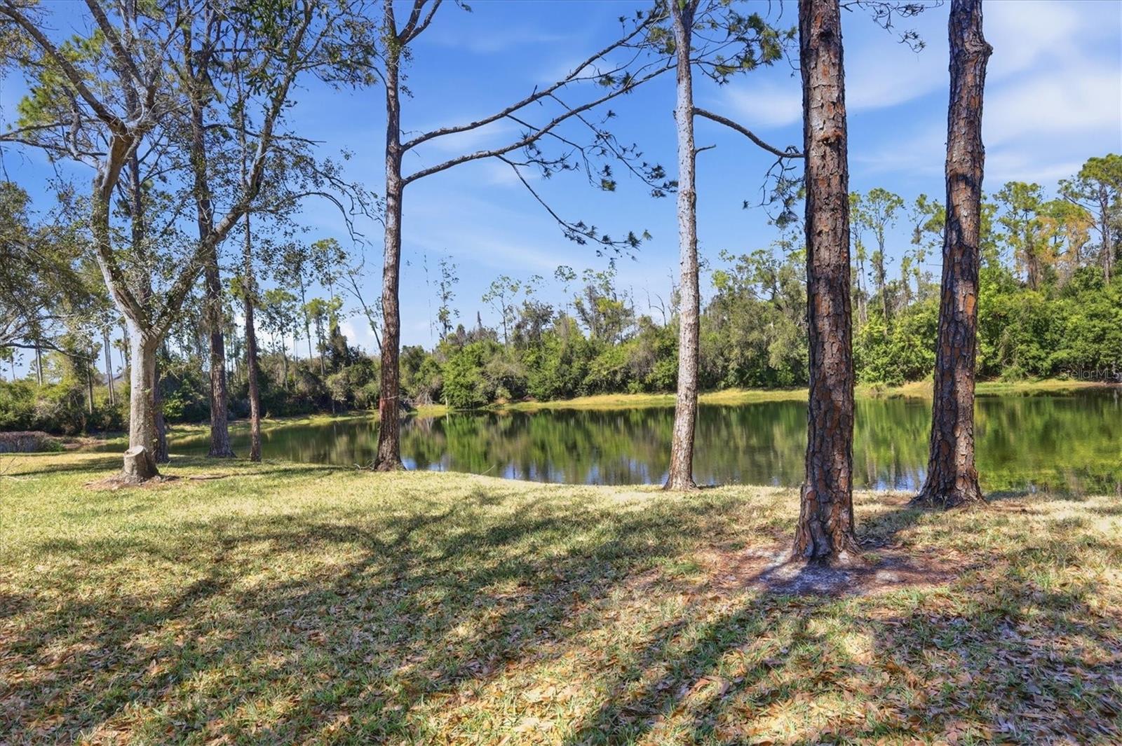 Image 28 of 57 For 5442 Fair Oaks Street 12c