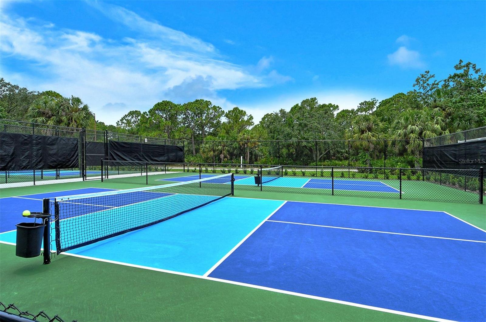 Image 50 of 59 For 8175 Abingdon Court