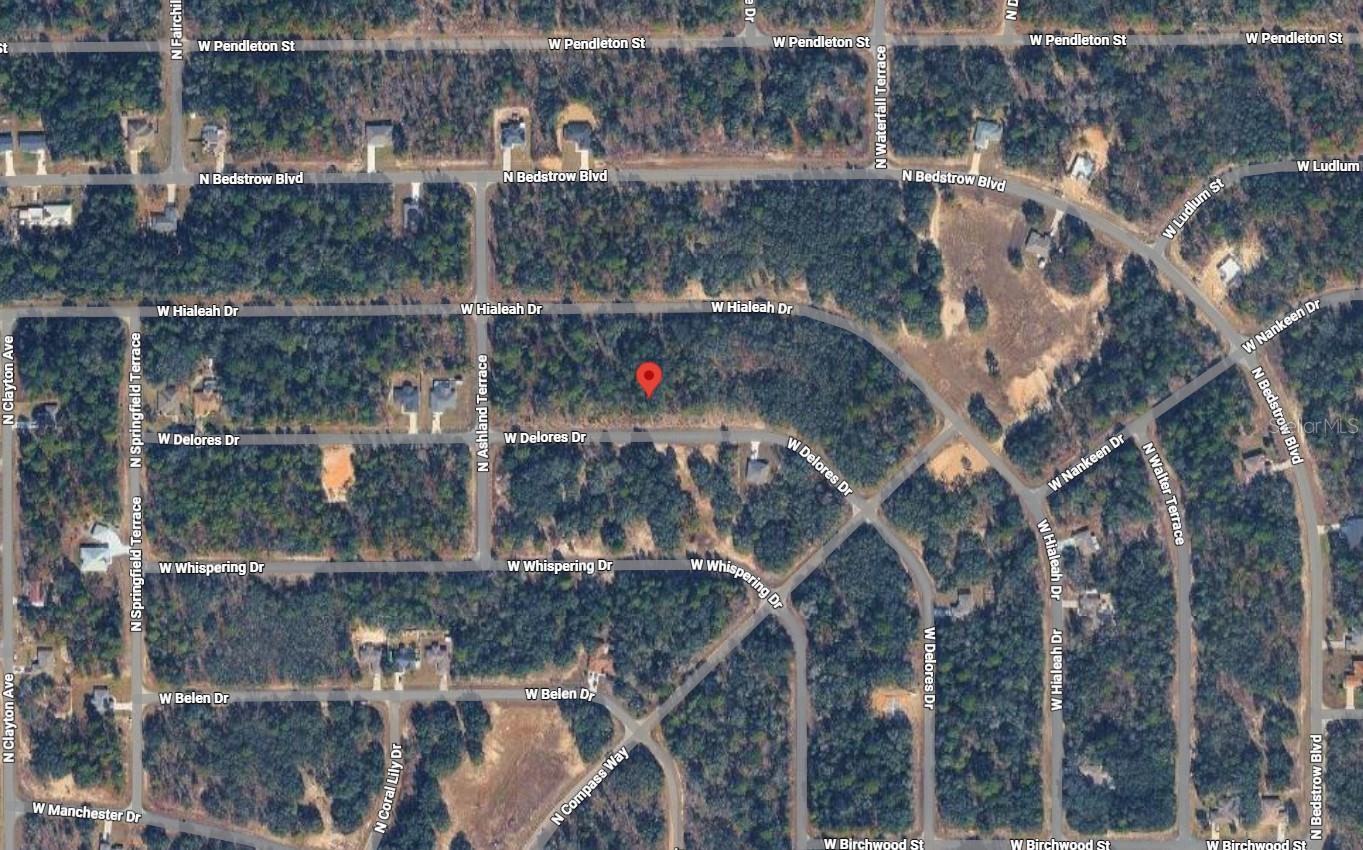 Listing photo id 2 for 1451 Dolores Drive