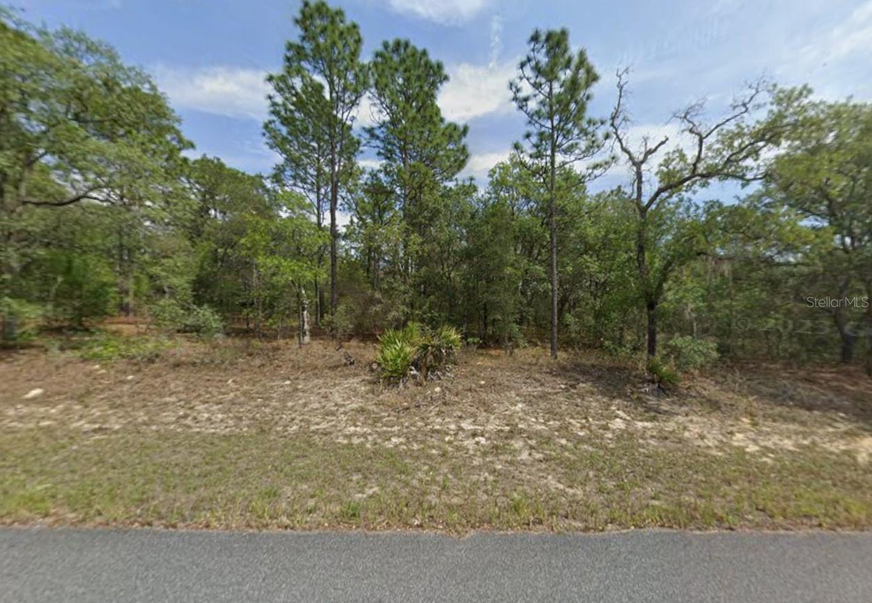 Listing photo id 3 for 1451 Dolores Drive