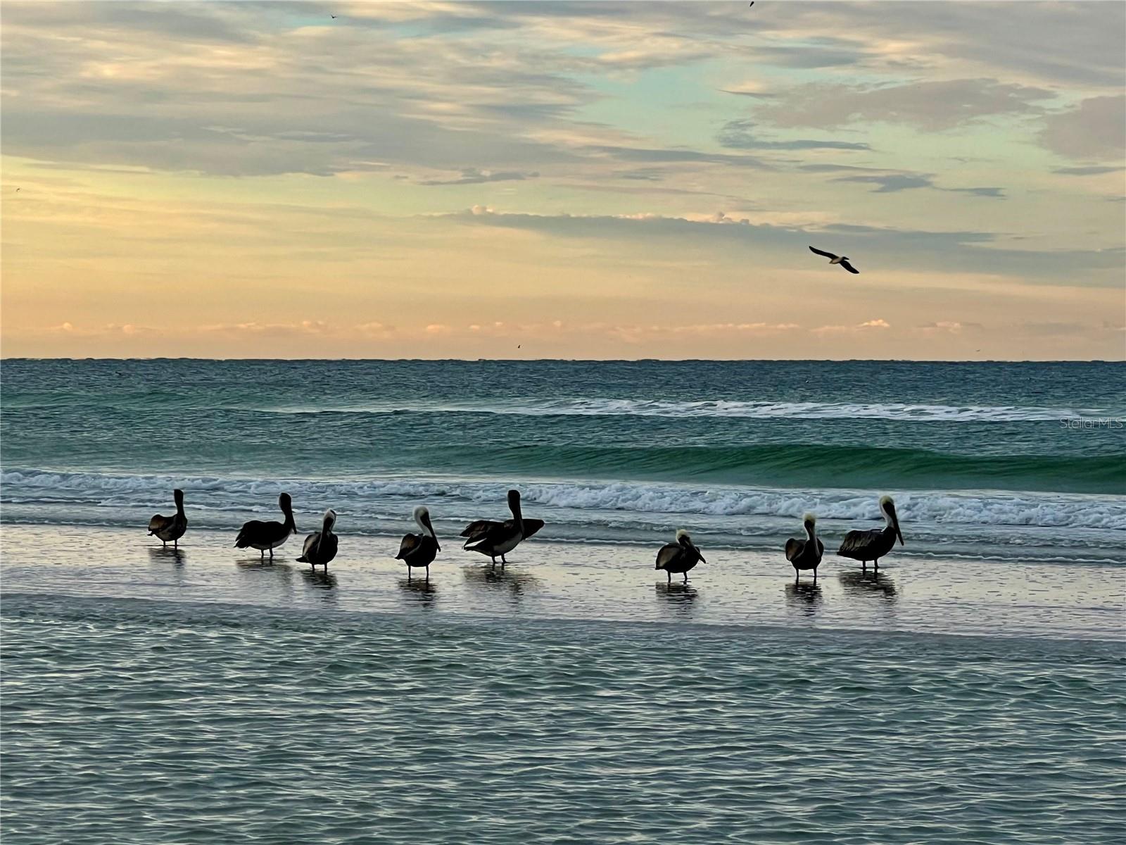 Image 38 of 48 For 1002 Glebe Lane