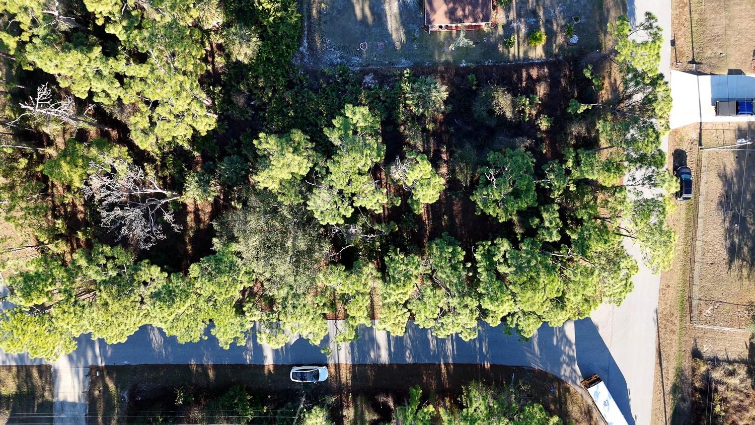 Image 13 of 15 For Rockwell Avenue