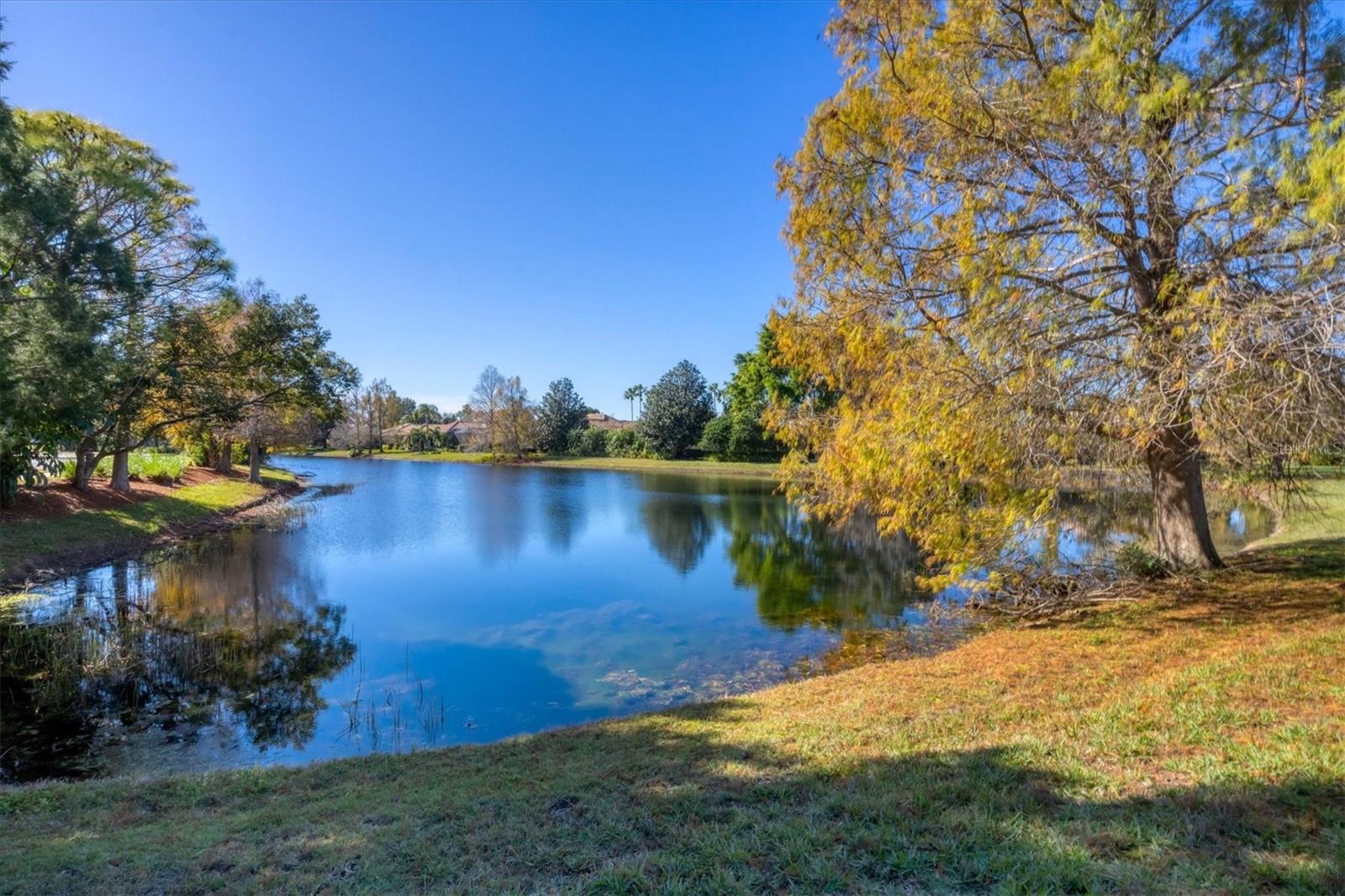 Image 37 of 57 For 7072 Twin Hills Terrace