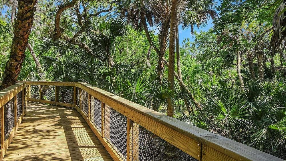 Image 73 of 78 For 8517 Golden Dawn Court