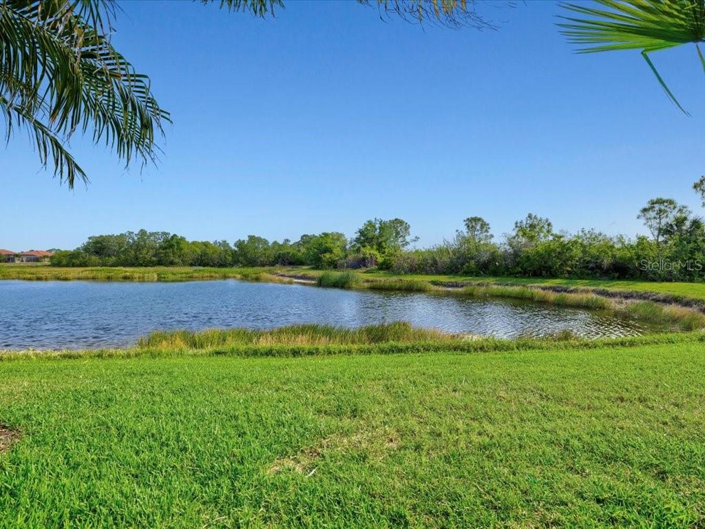 Image 47 of 95 For 13644 Brilliante Drive