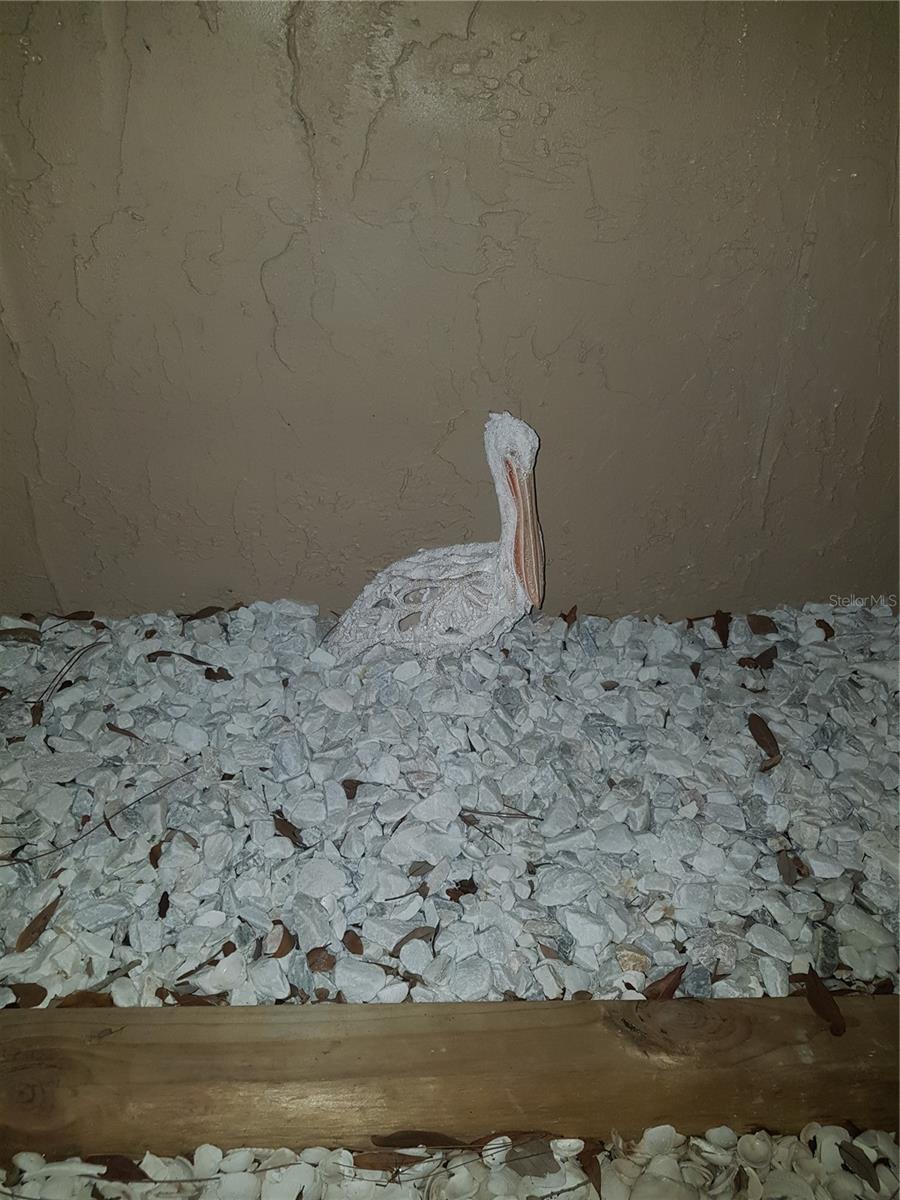 Image 34 of 42 For 311 58th Avenue E 311