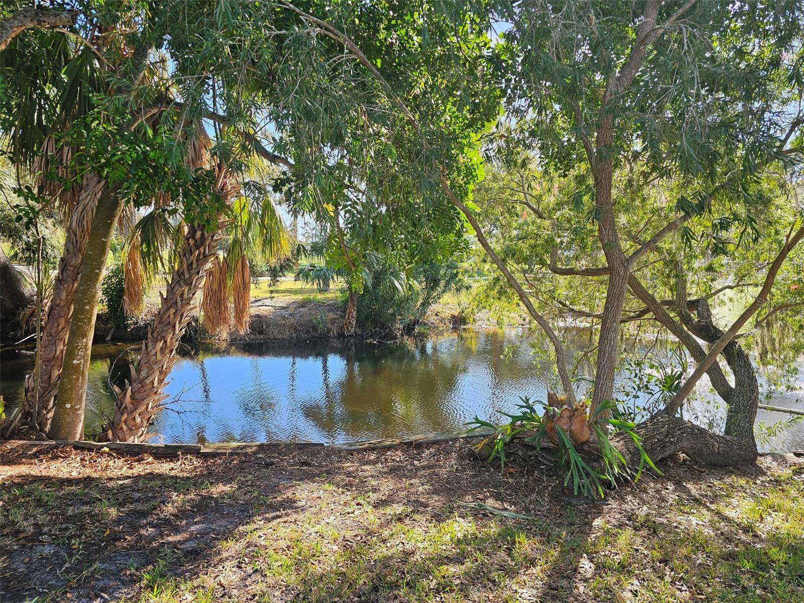 Image 5 of 57 For 4408 La Jolla Drive 19a