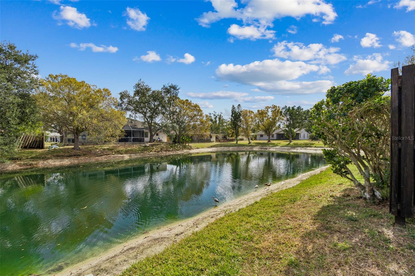 Image 10 of 100 For 4423 Meadow Creek Circle