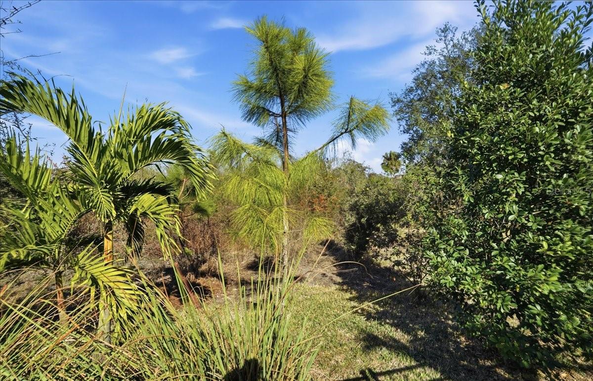 Image 59 of 93 For 5422 Morey Farms Loop