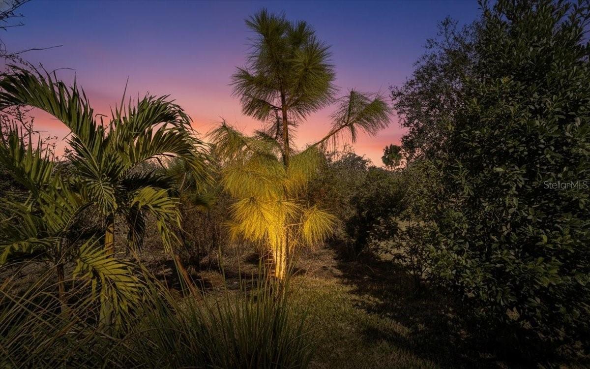 Image 60 of 93 For 5422 Morey Farms Loop