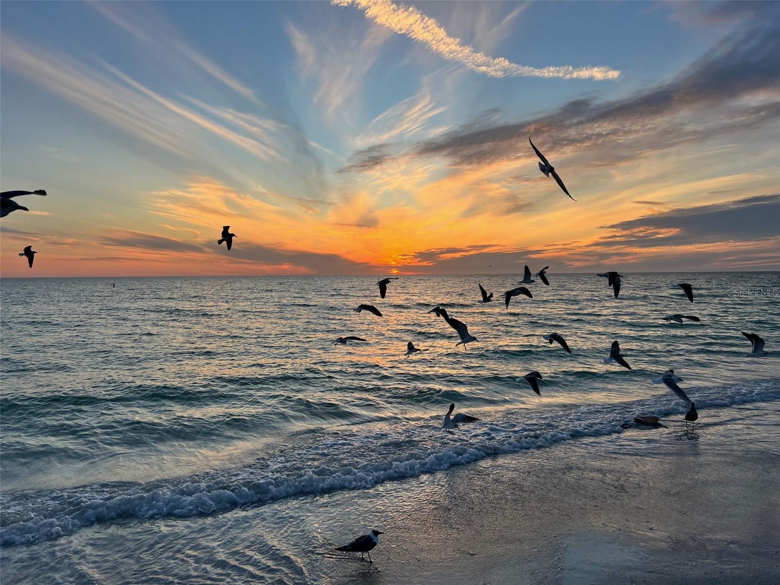 Image 51 of 100 For 800 Blvd Of The Presidents 9