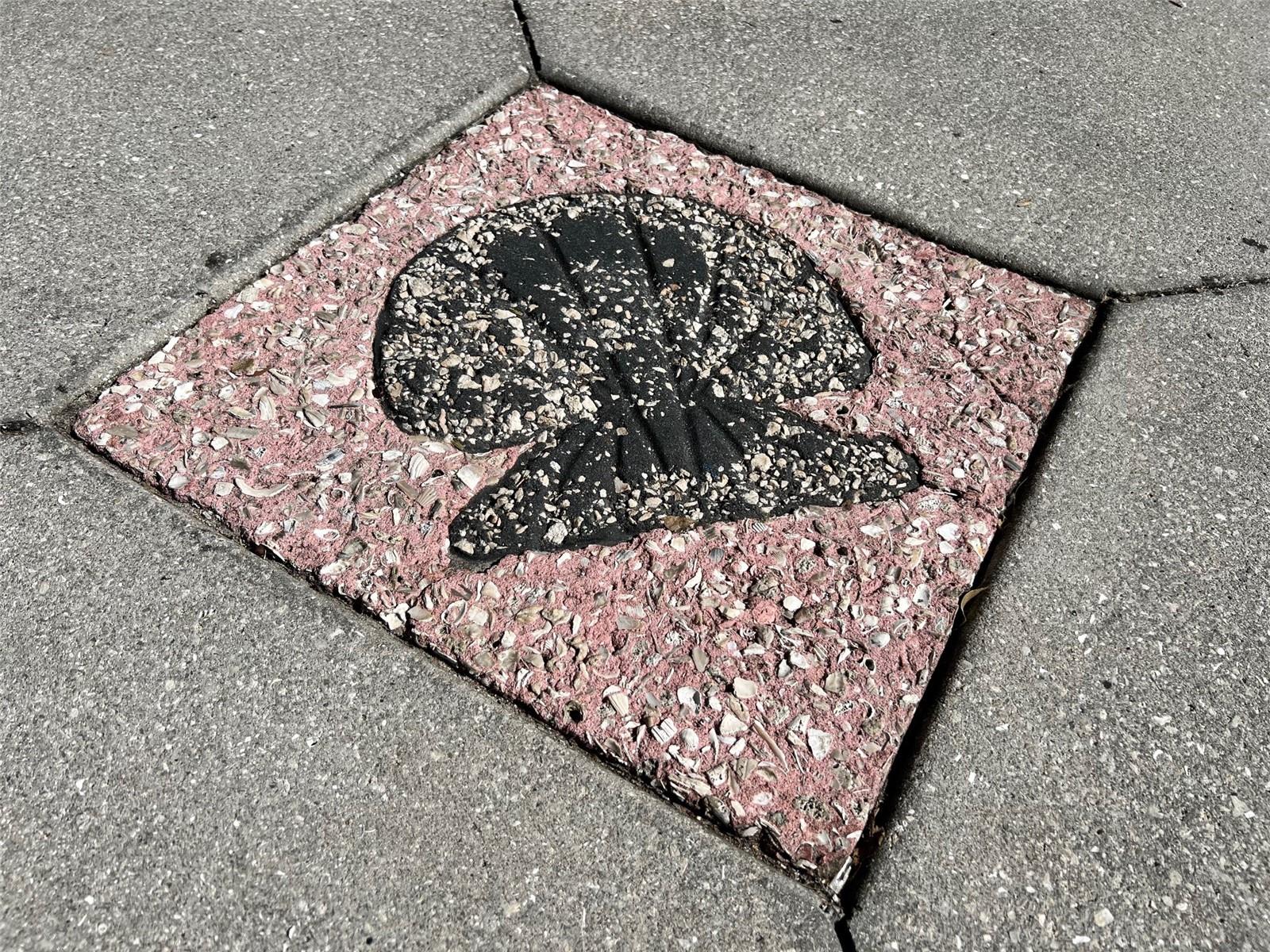 Image 89 of 100 For 800 Blvd Of The Presidents 9