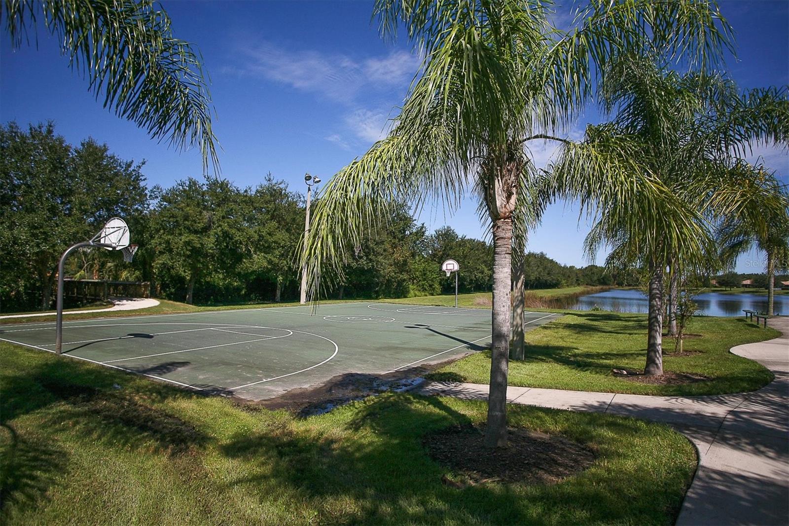 Image 57 of 63 For 1038 Buttercup Glen