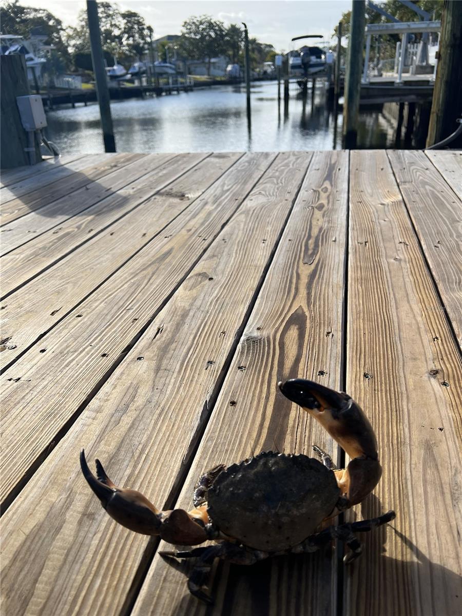 Image 2 of 17 For 303 Morningside Drive