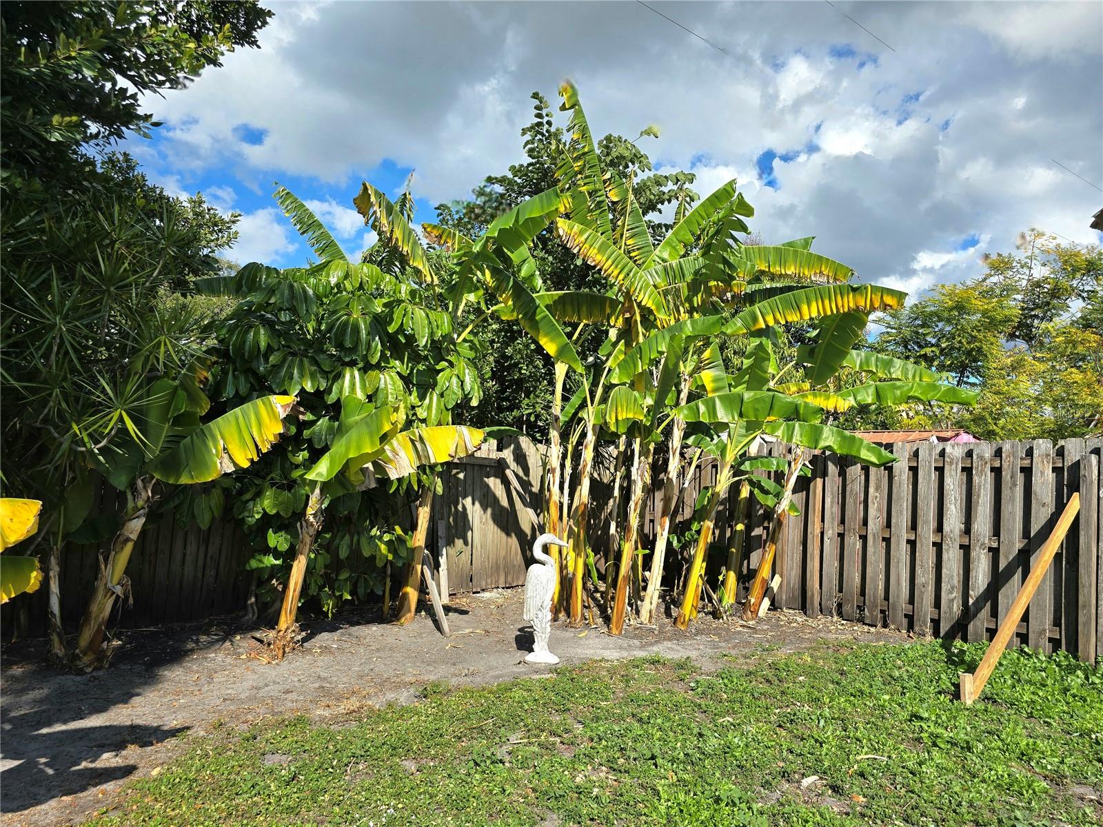 Image 24 of 26 For 2511 51st Avenue Terrace W