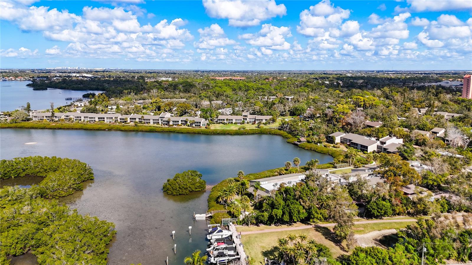 Image 50 of 61 For 1601 Bayhouse Point Drive Ba201