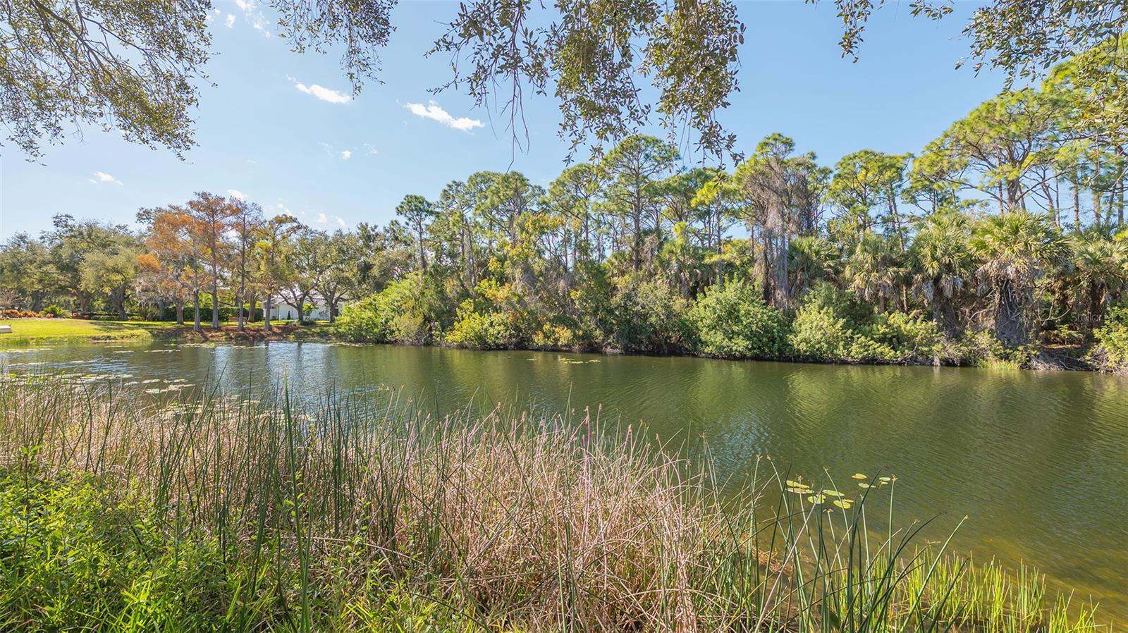 Image 39 of 50 For 4754 Antler Trail