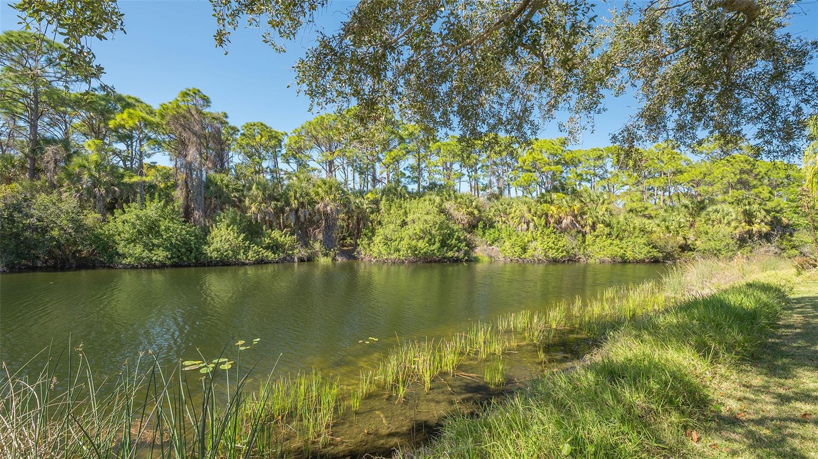 Image 40 of 50 For 4754 Antler Trail