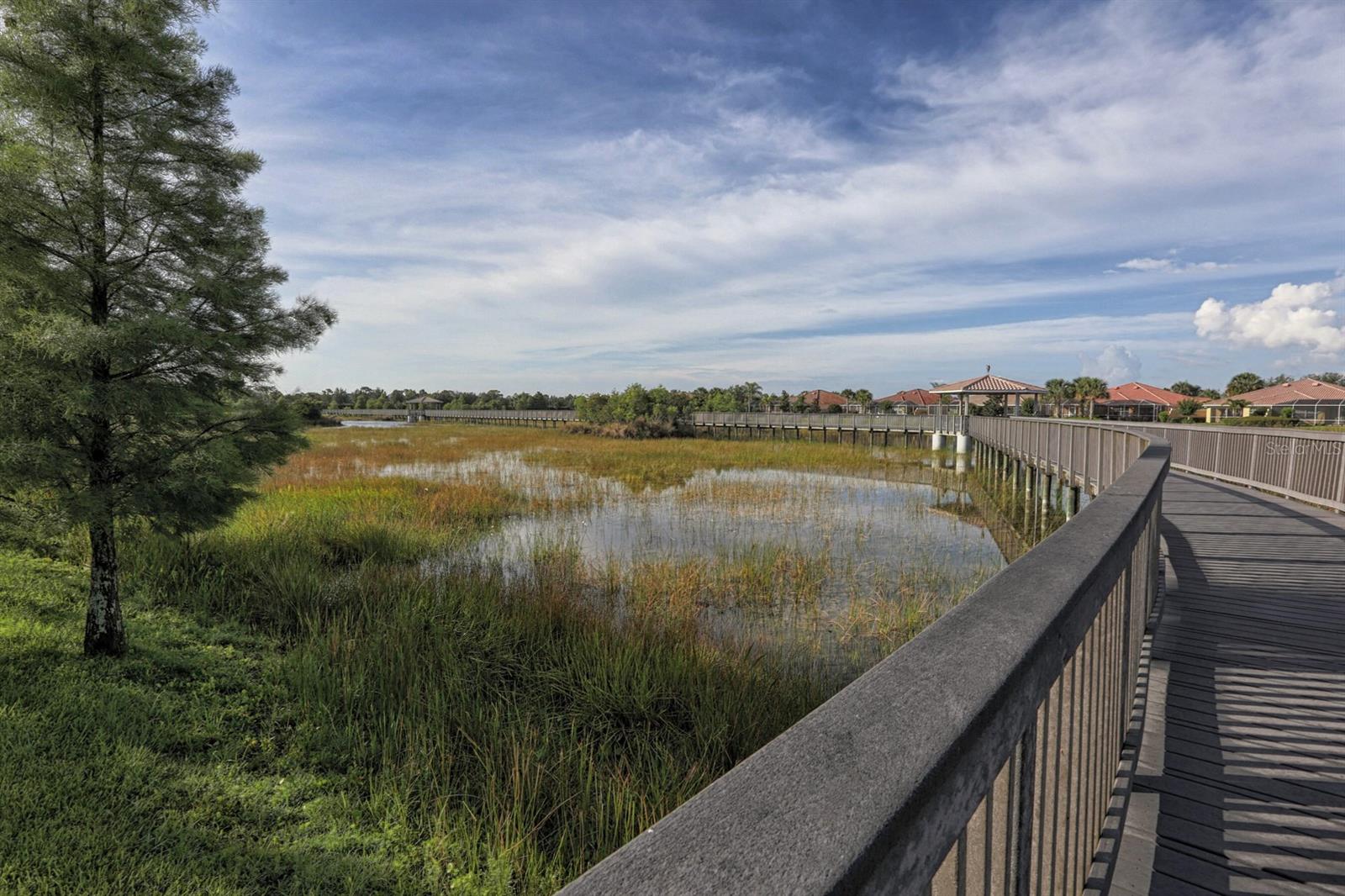 Image 30 of 43 For 13678 Yelma Street