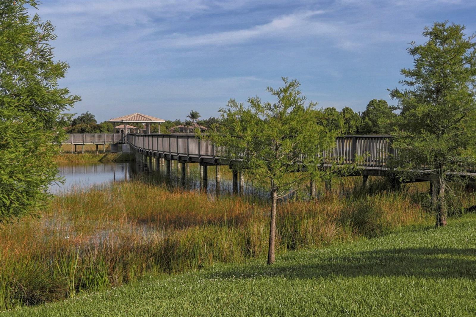 Image 31 of 43 For 13678 Yelma Street