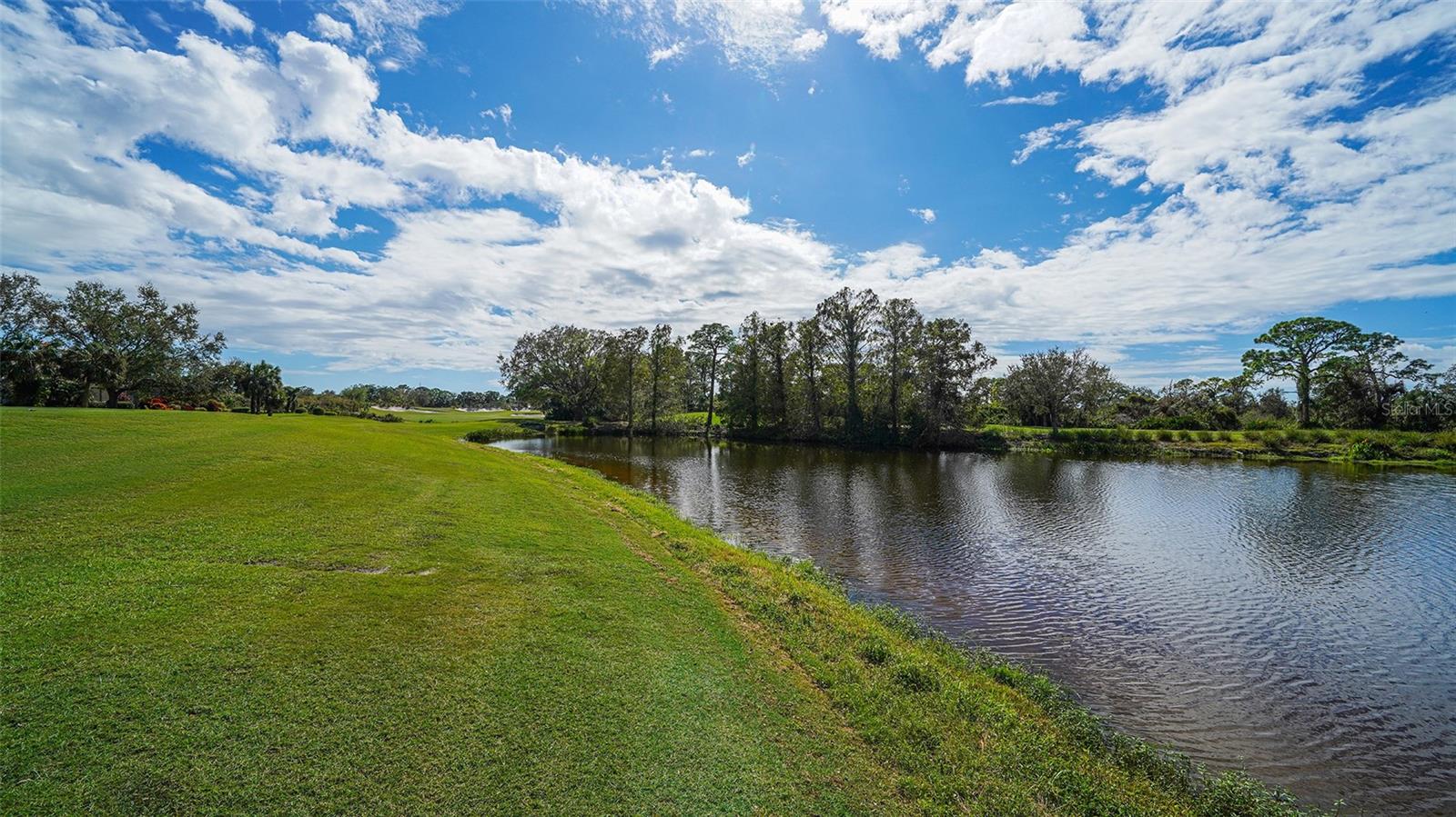 Image 81 of 93 For 227 Saint James Park