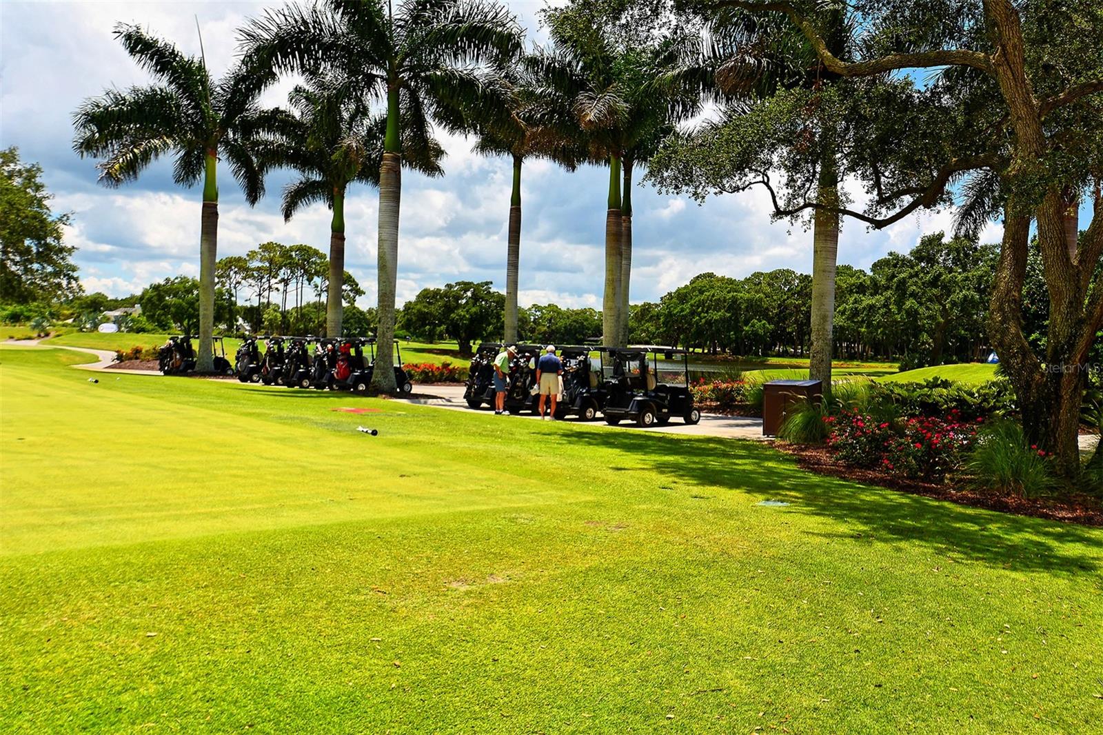 Image 84 of 93 For 227 Saint James Park