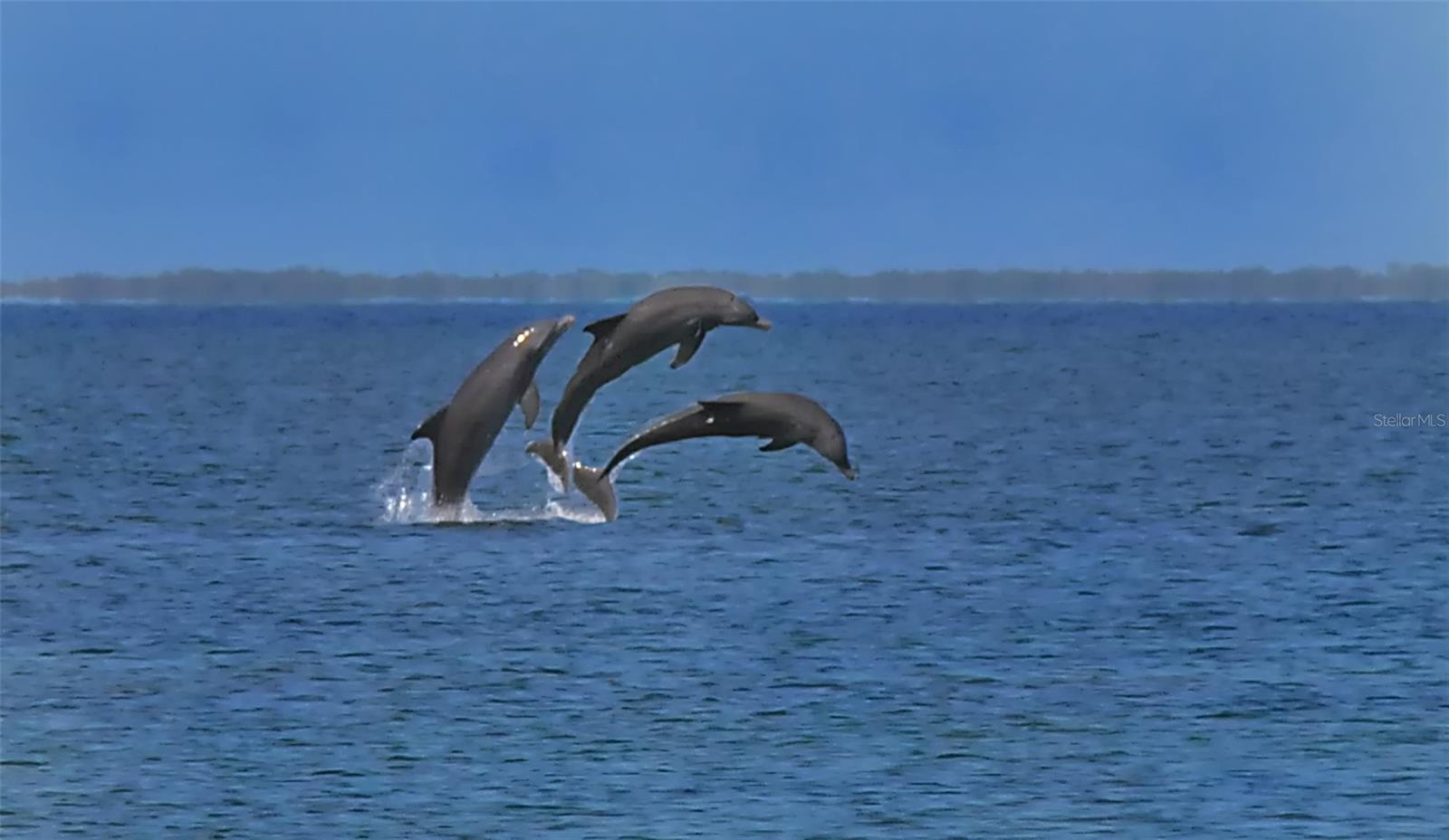 Image 52 of 53 For 8764 Midnight Pass Road A306